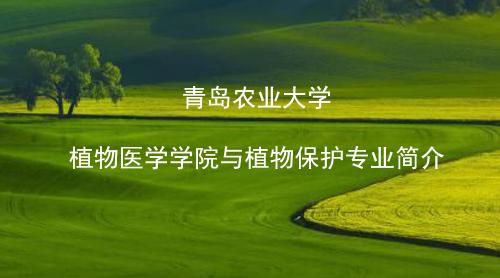 BETWAY必威植物保护专业介绍